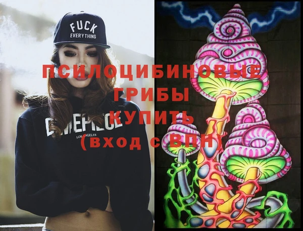 ECSTASY Абинск