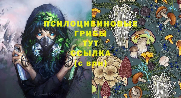 a pvp Абаза