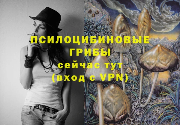 a pvp Абаза